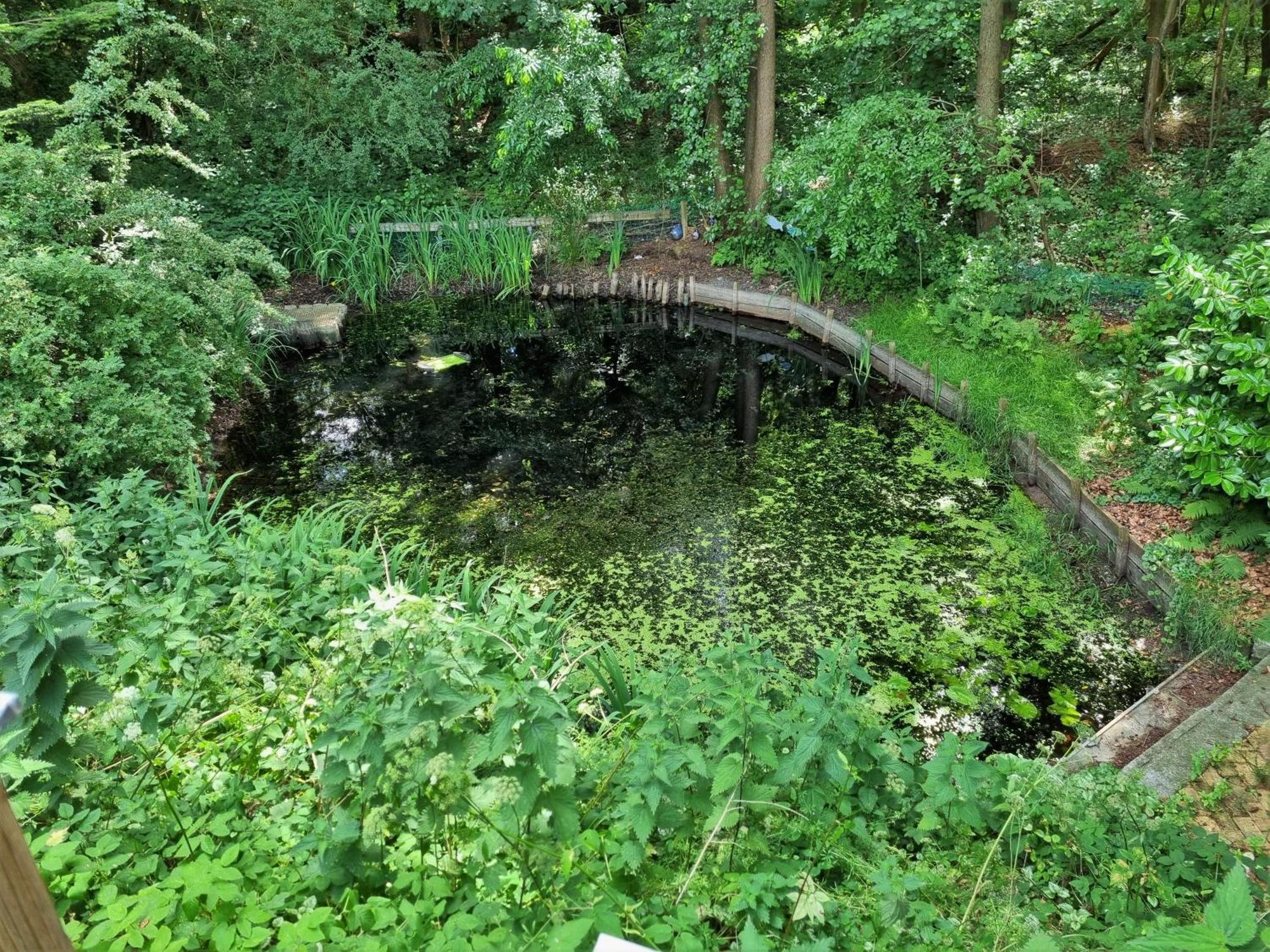 Ferienhaus Paulsen - Gemuetliches Haeuschen Mit Vollstaendig Eingezaeuntem Garten Und Kamin Silberstedt Exteriör bild
